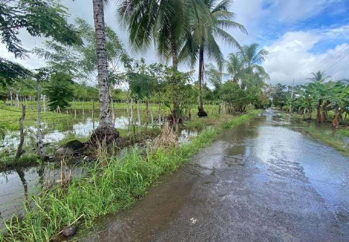 Casi 2 mil hectáreas de cultivos afectadas por lluvias