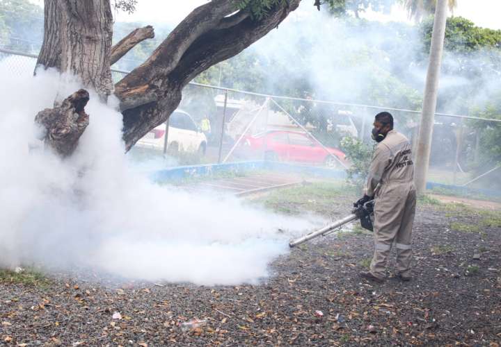 Retiran chatarra en operativo anti dengue