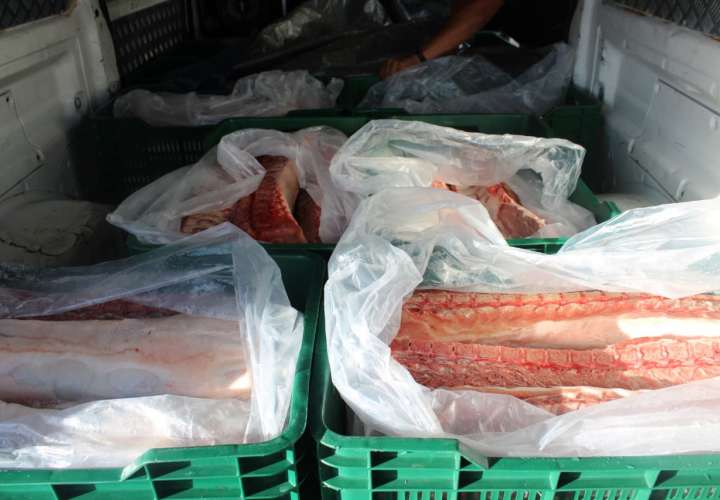 Decomisan 600 libras de cerdo en Divisa