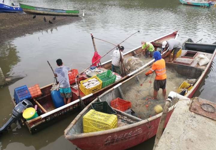 Pescadores distribuyen cuatro mil libras de pescado entre los más necesitados