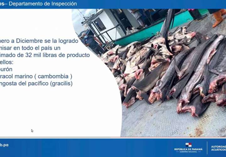 Autoridades panameñas coordinan acciones para detener la pesca illegal