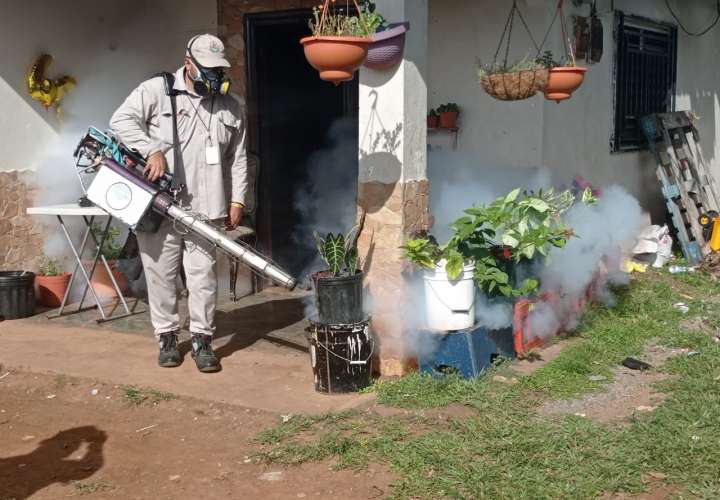 Aumentan a 445 los casos de dengue en Chiriquí