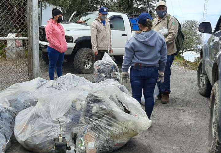 Cochinos dejan basura en la cima del volcán Barú
