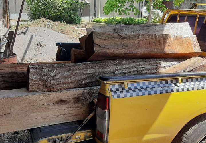 Inicia proceso por traslado ilegal de piezas de madera