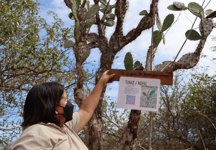 Ubicado en el distrito de Parita, en la provincia de Herrera, Sarigua busca convertirse además de un área protegida y sitio turístico, en un referente en cuanto a educación ambiental. 