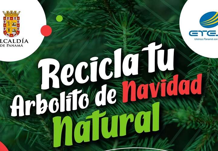 Etesa y Alcaldía promueven reciclaje de arbolitos de Navidad