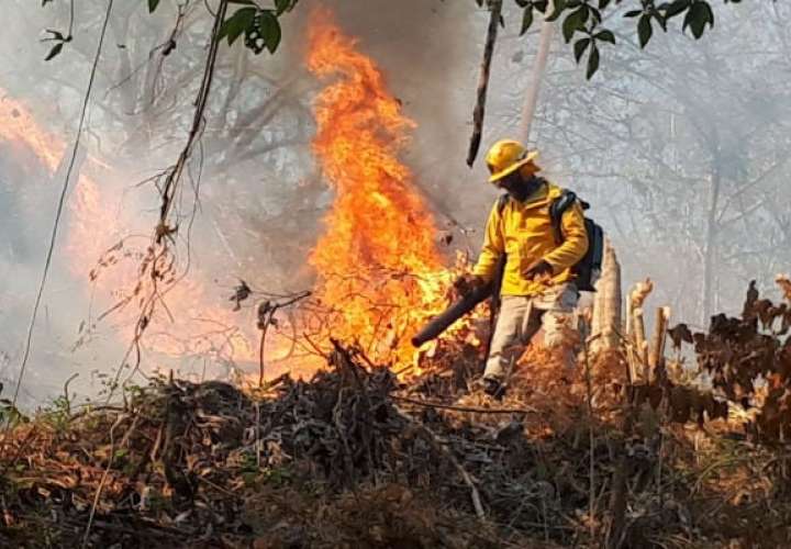 Panamá, con 16.099 incendios en 10 años, lanza campaña preventiva