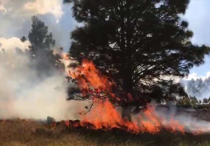 Diferentes estamentos brindaron apoyo para evitar que el fuego se propagara a otros puntos del sector.