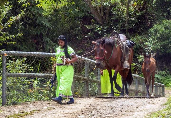 En Panamá habitan siete etnias indígenas. Foto: EFE