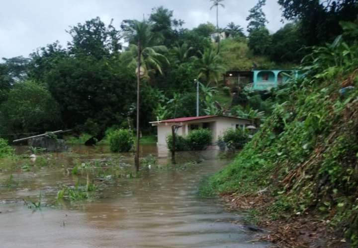 Inundaciones, caídas de árboles y colapso de muro deja paso de onda tropical