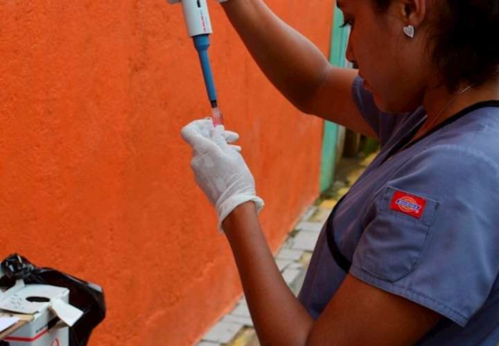Una de las investigadoras procesa las muestras recogidas de los participantes en el Estudio de Cohorte del Dengue Pediátrico en Managua. Foto: EFE