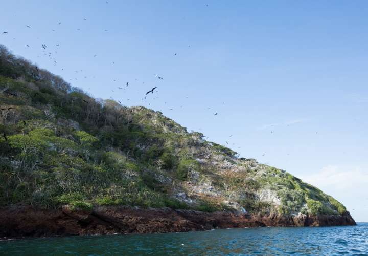 Smithsonian pide proteger isla paradisíaca 
