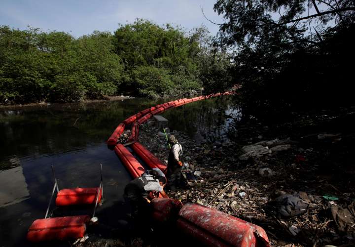 La presión humana y el clima devastan el manglar de la Bahía de Panamá