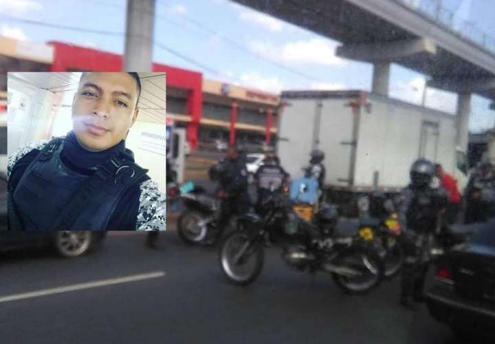Lince muere tras accidente en avenida Domingo Díaz
