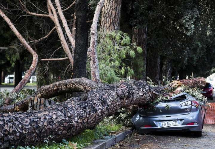 Un vehículo aparcado ha sido destrozado al caer un árbol debido a los fuertes vientos en Roma, Italia, hoy 30 de octubre de 2018. EFE