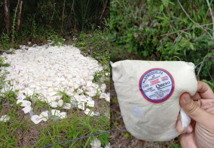 Encuentran quesos del Panamá Solidario tirados; aclaran que estaban dañados
