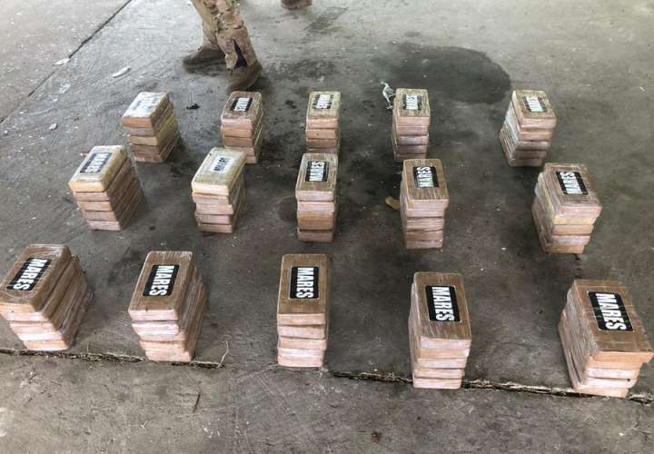 Ubican 75 paquetes de droga en área boscosa de Costa Arriba de Colón