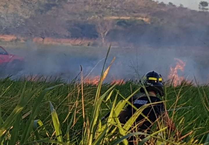 Fuego arrasa con 20 hectáreas de pasto mejorado