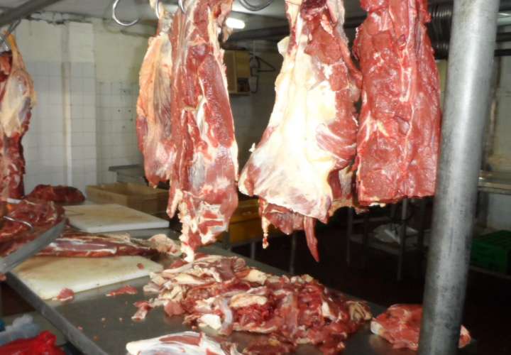 250 cabezas de ganado se dejan de sacrificar por huelga de veterinarios