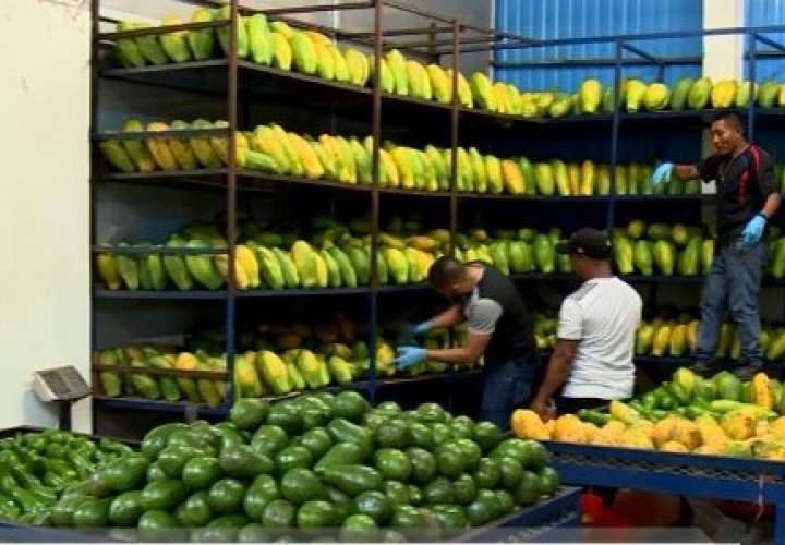 Arrendatarios de Merca Panamá denuncian competencia desleal