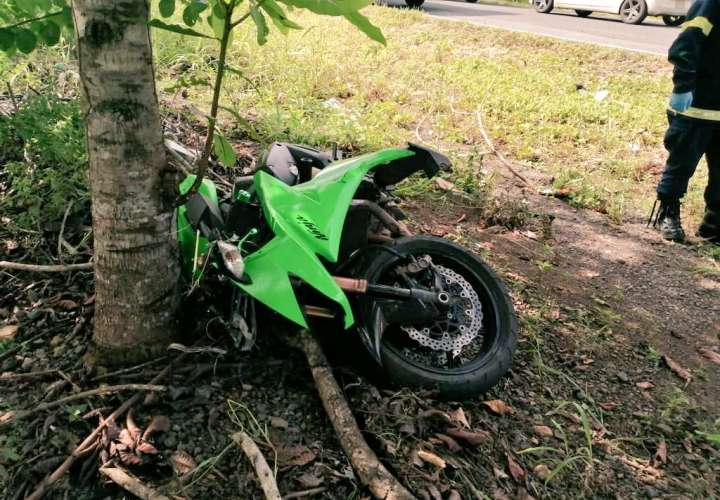 Motorizado muere al chocar contra un árbol 