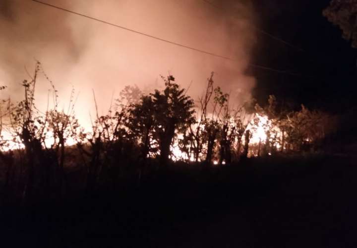 Miles de hectáreas consumidas por las llamas en Azuero