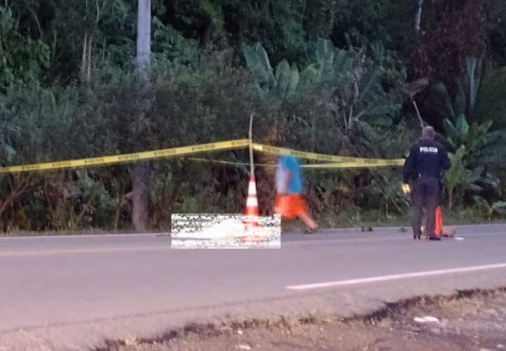 Camión embiste a peatón, quien muere en la vía 