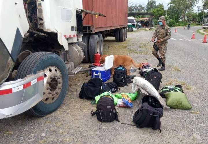 Colombianos indocumentados iban escondidos en una mula