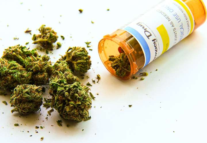 Se aprueba en primer debate el uso medicinal de la marihuana