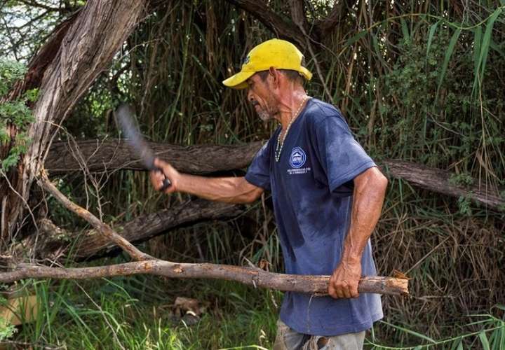 Pedro Tortosa cortar restos de árboles en Maracaibo venezuela efe