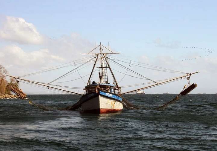 Pesca y acuicultura queda regulada tras sanción de ley   