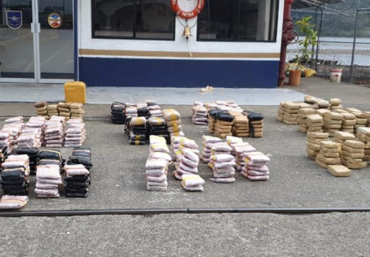 Más de 500 paquetes de pichi fuera de la isla Ensenada
