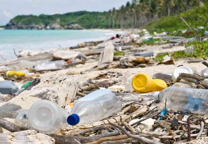 Entre ocho y doce millones de toneladas de plástico colapsan cada año el mar