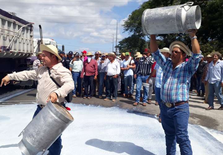 vaciaron garrafones de leche en la carretera como medida de protesta, ya que aseguran este producto es uno de los más afectados por la crisis del agro. Foto: Thays Domínguez