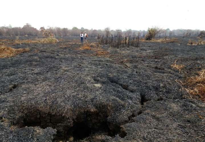 Vistas de un área deforestada y quemada en Filo Del Tallo, Darién del año 2016. Foto: MiAmbiente