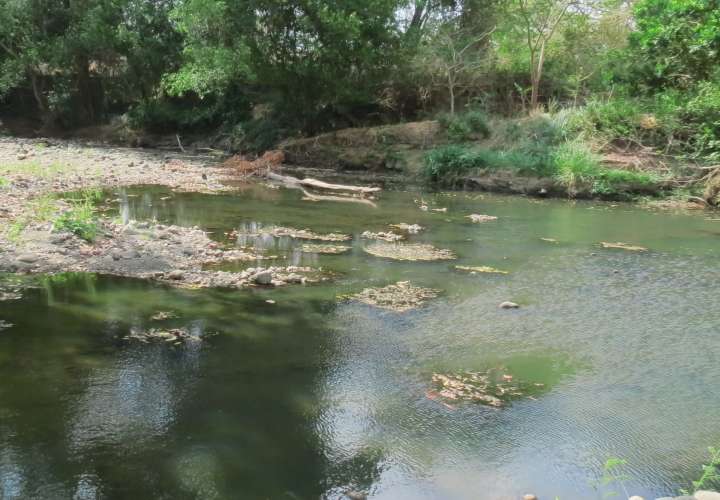 Bajo caudal en río Chame