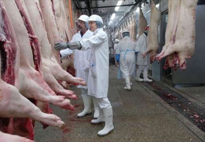 Crece el sacrificio de ganado vacuno y porcino en abril