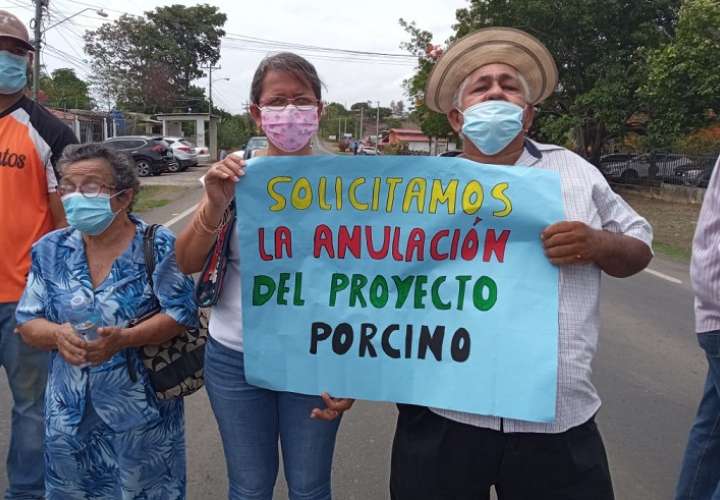 Moradores de Guararé rechazan proyecto porcino
