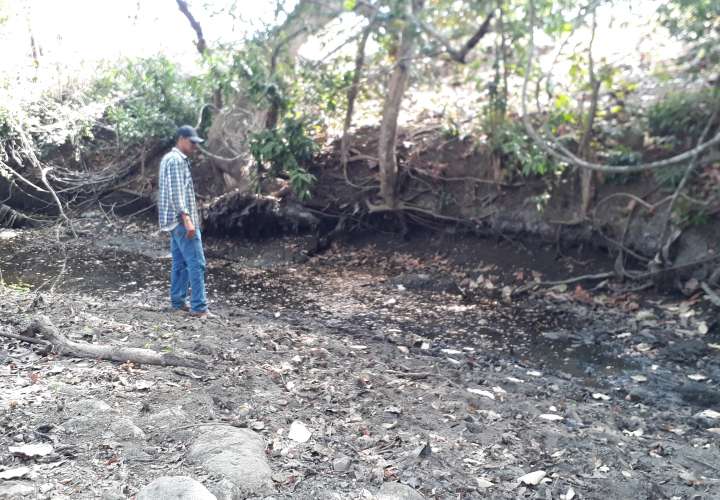 Represan ríos en Los Santos ante la falta de agua