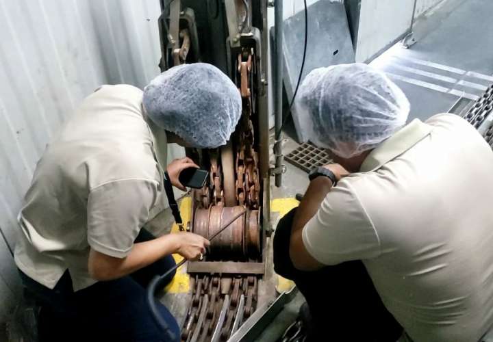 Serpiente, estaba atrapada en una máquina dentro de una fábrica en Chiriquí