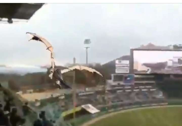 ¡Brutal! Un dragón aparece en un estadio de Corea del Sur 