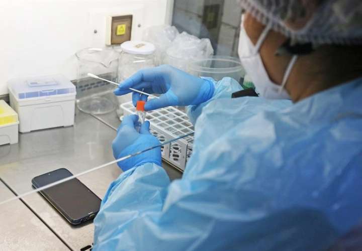 Científicos trabajan en el testeo del covid-19 con muestras tomadas en celulares. EFE