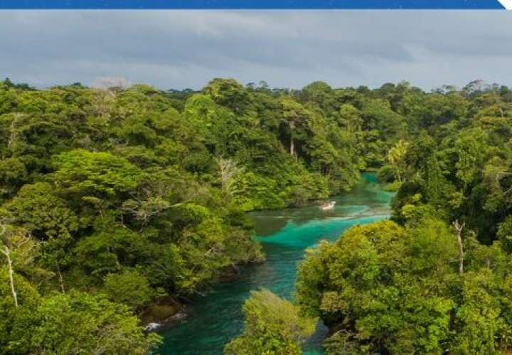 Nueva cartografía forestal de Panamá revela 68% de cobertura boscosa
