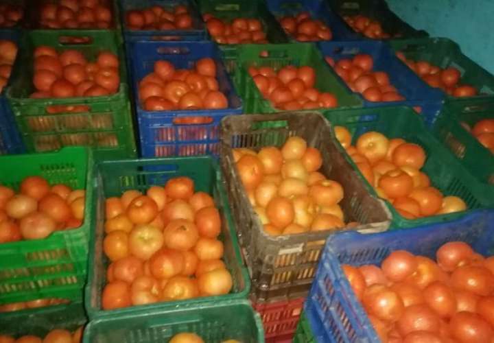 Retienen 63 cajas de tomates de presunto contrabando