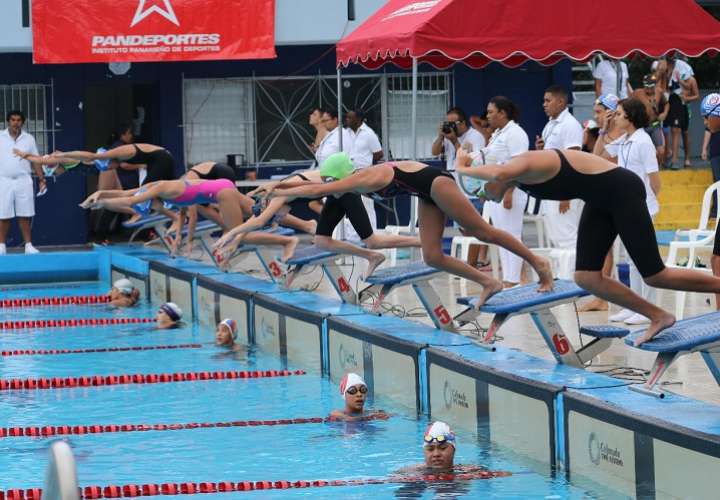 Los tiempos de los atletas serán avalados por la Federación Panameña de Natación.  Foto: Cortesía