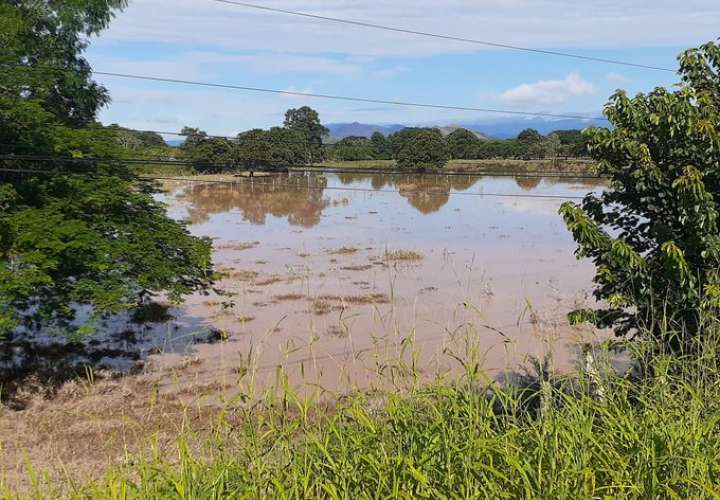Idaan: Varias comunidades de Coclé sin agua y baja presión por mal tiempo