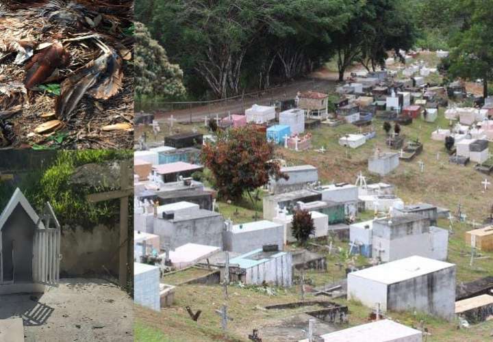 Muñequito ‘puya puya’ en cementerio de Colón