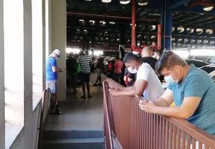 Los hombres también forman largas filas para comprar  [Video]
