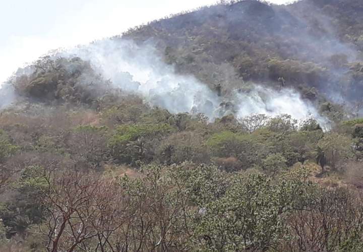 Buscan disminuir incendios en áreas agrícolas