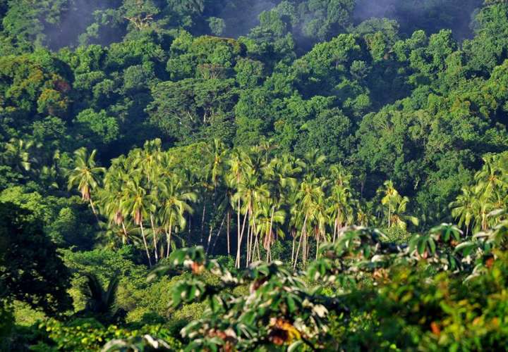 Vista del Parque Nacional Coiba, un conjunto de islas de origen volcánico ubicadas en el Pacífico panameño. EFE